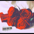 Picsart profile picture for @rings